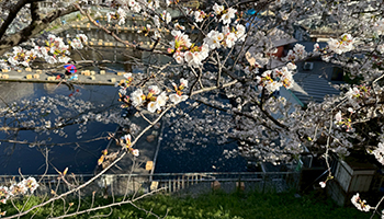 「子供との日常と仕事」