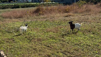 私の休日の過ごし方