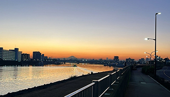 頑張っていること